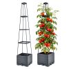 2Pack Raised Garden Bed Boxes with Trellis 56" Tomato Self-Watering Planter Box Indoor Outdoor with 4 Adjustable Heights 10 Clips 65FT Ties for Climbi