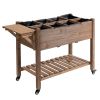 Raised Garden Bed 49x21x34 with Grow Grids & Storage Shelf on Wheels Brown