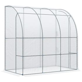 7' x 4' x 7' Outdoor Walk-In Greenhouse, Plant Nursery with Roll-up Door, and PE Cover, White