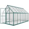 Polycarbonate Greenhouse with Swing Door and Two Adjustable Roof Vents, Aluminum Walk-in Greenhouse, 11x6 ft, Dark Green