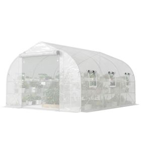 10'x11'x6' Walk-in Tunnel Greenhouse with Shelves, Mesh Door and Windows, Plant Hot House with PE Cover, White