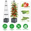 4-Size Height Adjustable Trellis Planter with 2L Self-Watering Tank