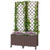 Planter Box with Trellis, Self Watering Raised Garden Bed with Lockable Wheels and Drainage Holes, Brown