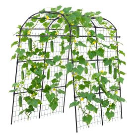Cucumber Trellis, U-Shape Garden Trellises for Raised Bed, Metal Arch Plant Support for Vine, Climbing Plants Outdoor, Peas, Beans, Zucchini, Tomato
