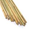 40PC 5FT A natural bamboo plant climbing stakes helps plants grow and beautifies your space.