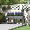 Wood Raised Garden Box, Elevated Garden Bed with Side Table, Bottom Shelf, Bed Liners and Drainage Holes, Gray