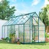 Polycarbonate Greenhouse with Swing Door and Two Adjustable Roof Vents, Aluminum Walk-in Greenhouse, 11x6 ft, Dark Green