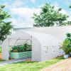 20' x 10' x 7' Tunnel Greenhouse Large Walk-In Warm House, Roll Up Door