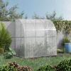 7' x 4' x 7' Outdoor Walk-In Greenhouse, Plant Nursery with Roll-up Door, and PE Cover, White