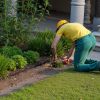 Landscape Edging Border, 10Pcs 6 ft x 1.6 in Plastic Garden Edging with 60 Spikes, Sun-Resistant Flowerbed Borders, DIY Layout