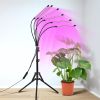 Full Spectrum Indoor Plant Grow Light with Adjustable Stand â€“ 80 LEDs Floor Plant Lamp, 5 Dimming Levels (20%-100%), 3/9/12H Auto On/Off Timer