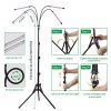 Full Spectrum Indoor Plant Grow Light with Adjustable Stand â€“ 80 LEDs Floor Plant Lamp, 5 Dimming Levels (20%-100%), 3/9/12H Auto On/Off Timer