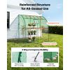 Walk-in Green House, 78 x 39.4 x 78.7 in, Greenhouse with Shelves, High Strength PE Cover with Zipper Door and Steel Frame, Assembly in Minutes