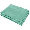 9.8' x 6.6' x 6.6' Plastic Greenhouse Cover Replacement, Heavy Duty Waterproof Tarp for Hoop House, Sheeting with 6 Windows, Door & Reinforcement Grid